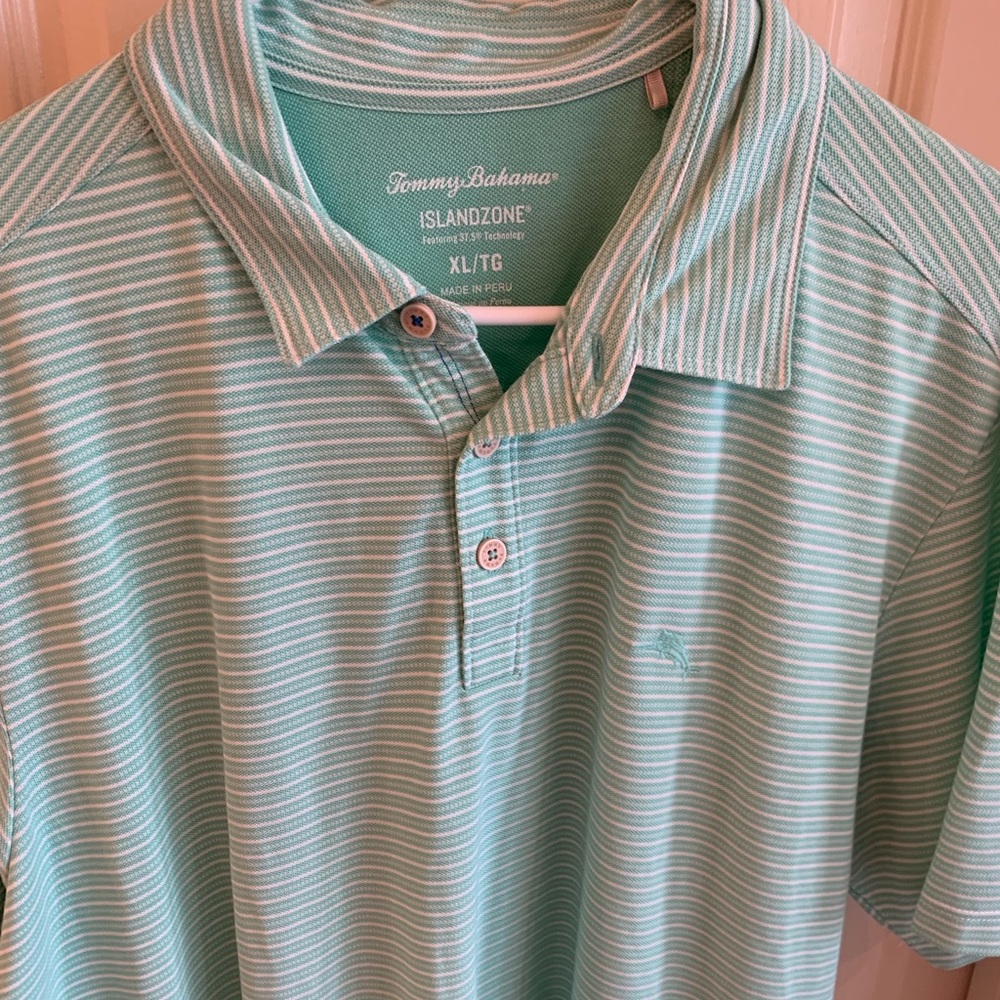 Like new light sage green stripe TB polo shirt